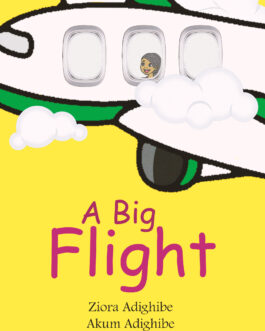 A Big Flight