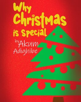 Why Christmas is Special
