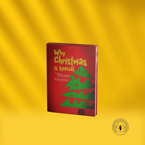 Why Christmas is Special - Image 3